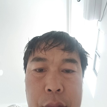精品白萝卜可供市场食堂商超需要的联系我