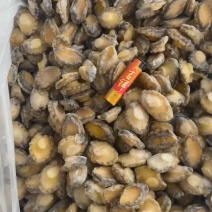 鲍鱼【海头厂家】鲍鱼肉冻鲍鱼鲍鱼净肉海头直发