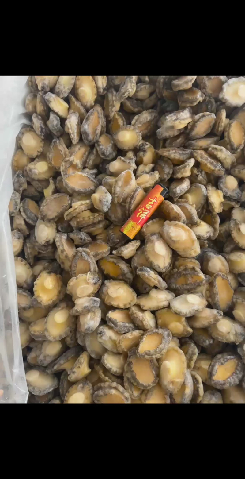 鲍鱼【海头厂家】鲍鱼肉冻鲍鱼鲍鱼净肉海头直发