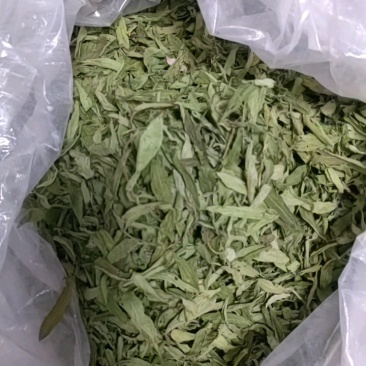 【基地直发】甜叶菊统货甜叶菊量大从优代发全国欢迎