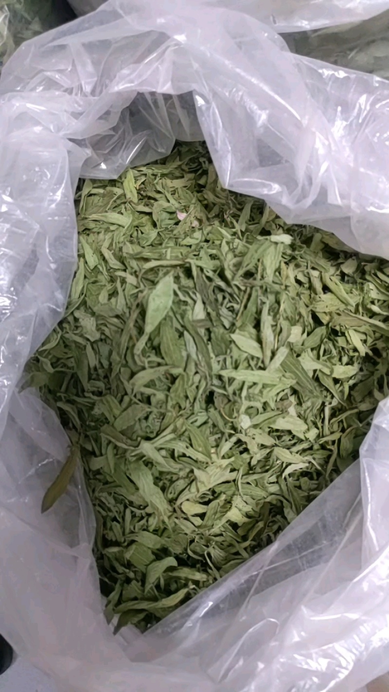 【基地直发】甜叶菊统货甜叶菊量大从优代发全国欢迎