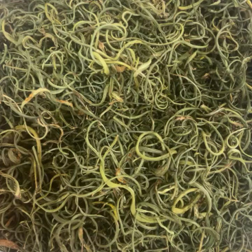 肾精茶精选小叶绿叶肾精茶肾精草长白山肾精茶现货