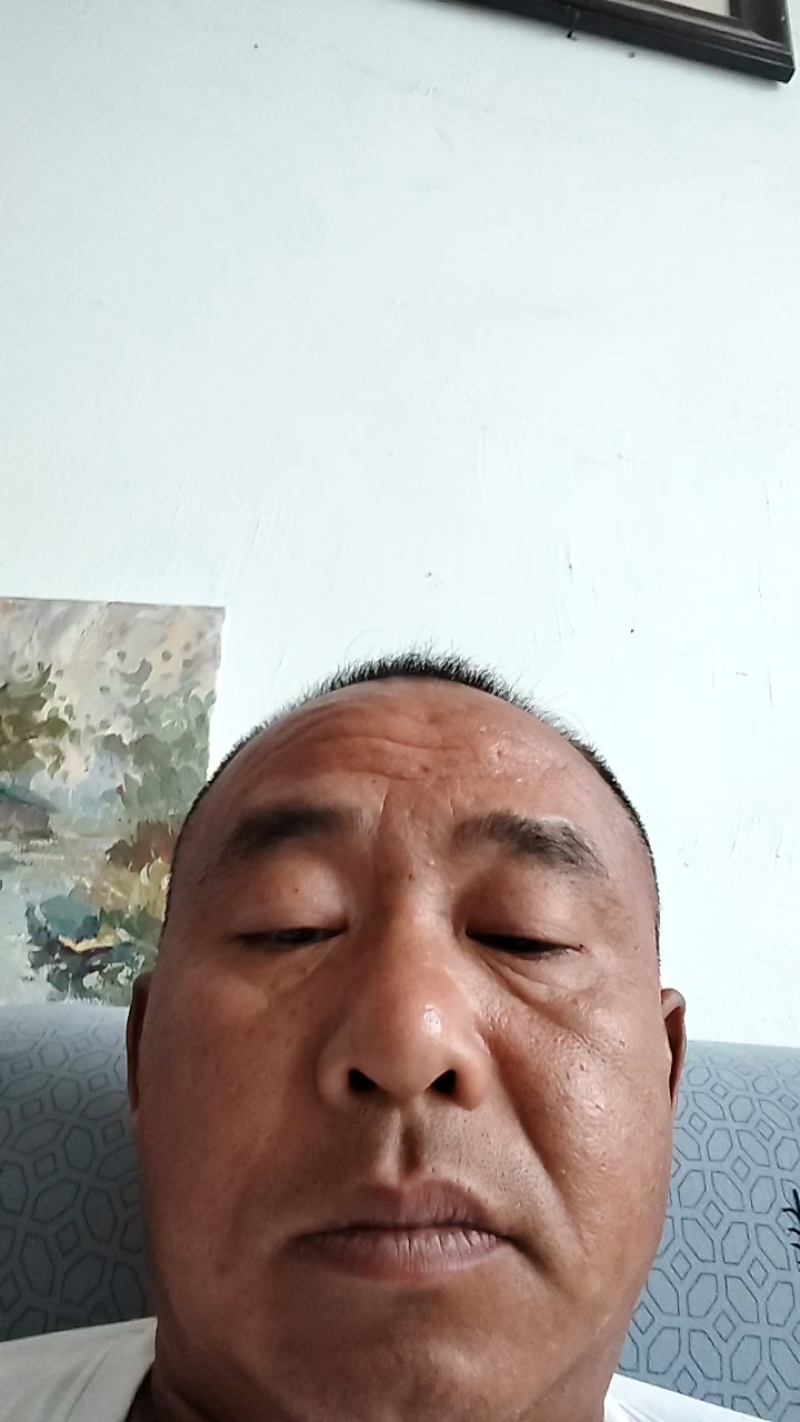 砀山油桃毛桃上市中，特点！颜色好，口感翠甜，量大。