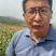 山东紫皮大蒜当季现挖通货分级按需定制