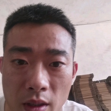 柠檬通货，一件代发