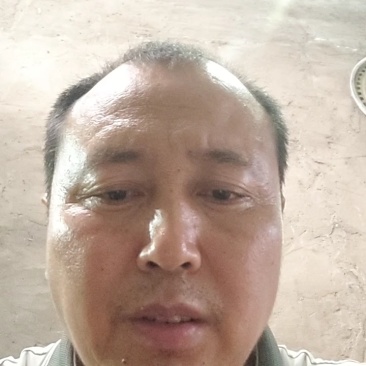 精品野生山楂片，产地直销，品质保证，货源充足，可批发或零