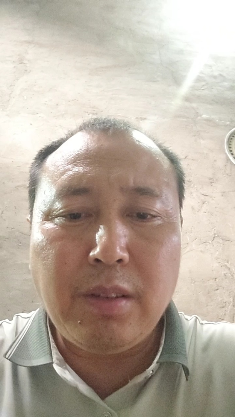 精品野生山楂片，产地直销，品质保证，货源充足，可批发或零