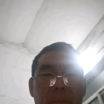 安徽砀山精品小白瓜，早雪甜瓜已经大量上市，产地发货一手货