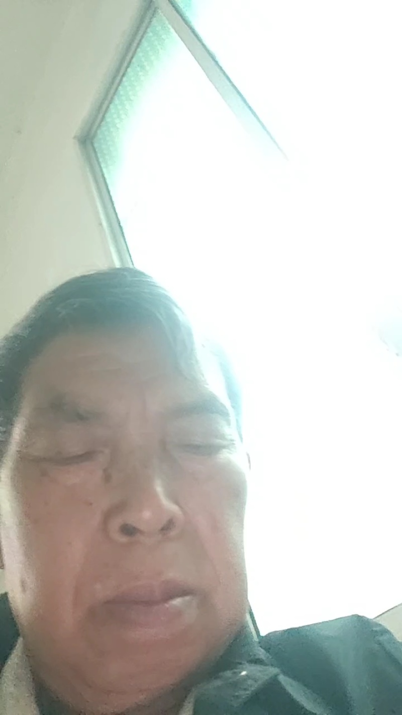 蕨菜种苗，根系苗易成活。