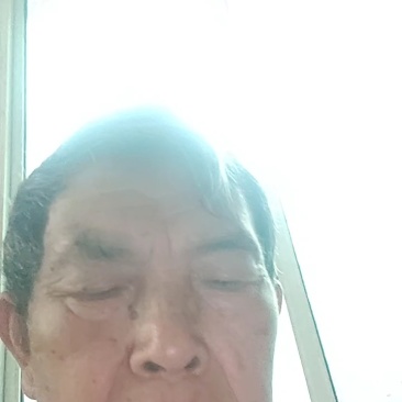 沃柑苗，晚熟品种