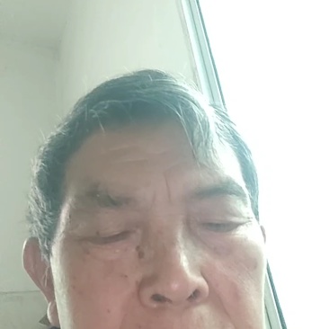 桃子树苗，太白脆甜桃，脱骨桃，果大味甜，六月分成熟，
