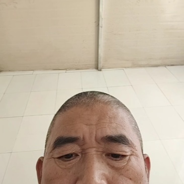 山西晋中大叶菠菜打捆半毛菜无干叶土少干净颜色墨绿现场挑货