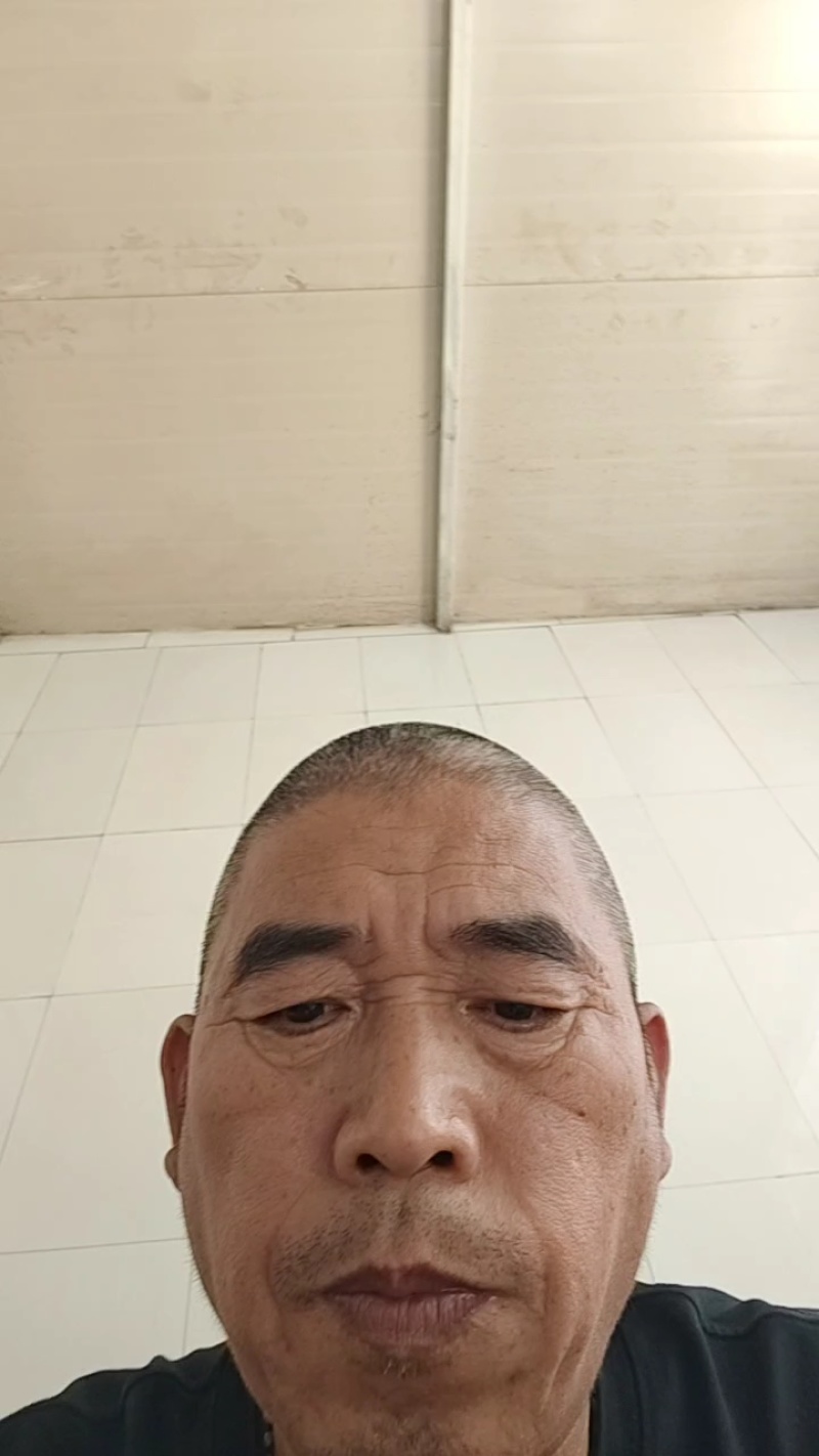 山西晋中大叶菠菜打捆半毛菜无干叶土少干净颜色墨绿现场挑货