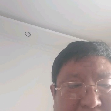 干红薯渣