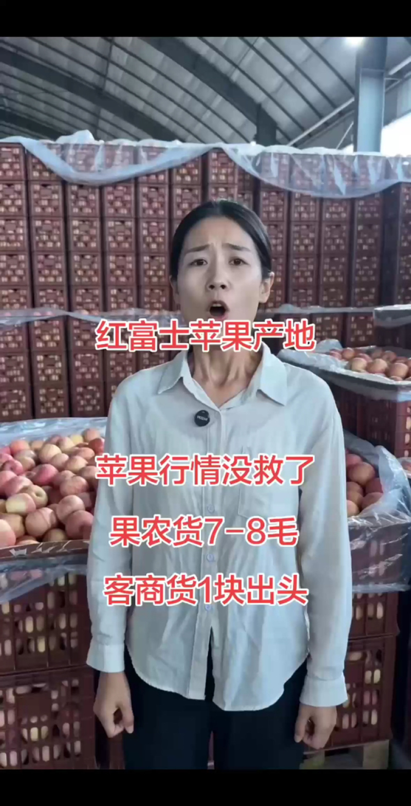 正宗红富士苹果产地口感脆甜多汁产地一手货源价格优