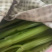 【精品西芹】寿光西芹榨汁水果西芹叶芹菜现割蔬菜量大发货
