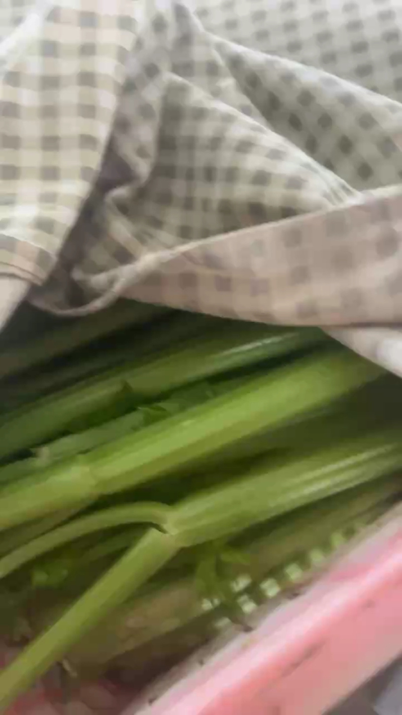 【精品西芹】寿光西芹榨汁水果西芹叶芹菜现割蔬菜量大发货