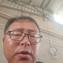 陕西板栗南瓜皮薄、绵、甜、香浓、粉粉糯糯正宗板栗味！