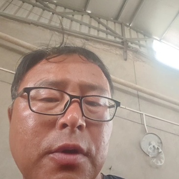 陕西板栗南瓜皮薄、绵、甜、香浓、粉粉糯糯正宗板栗味！