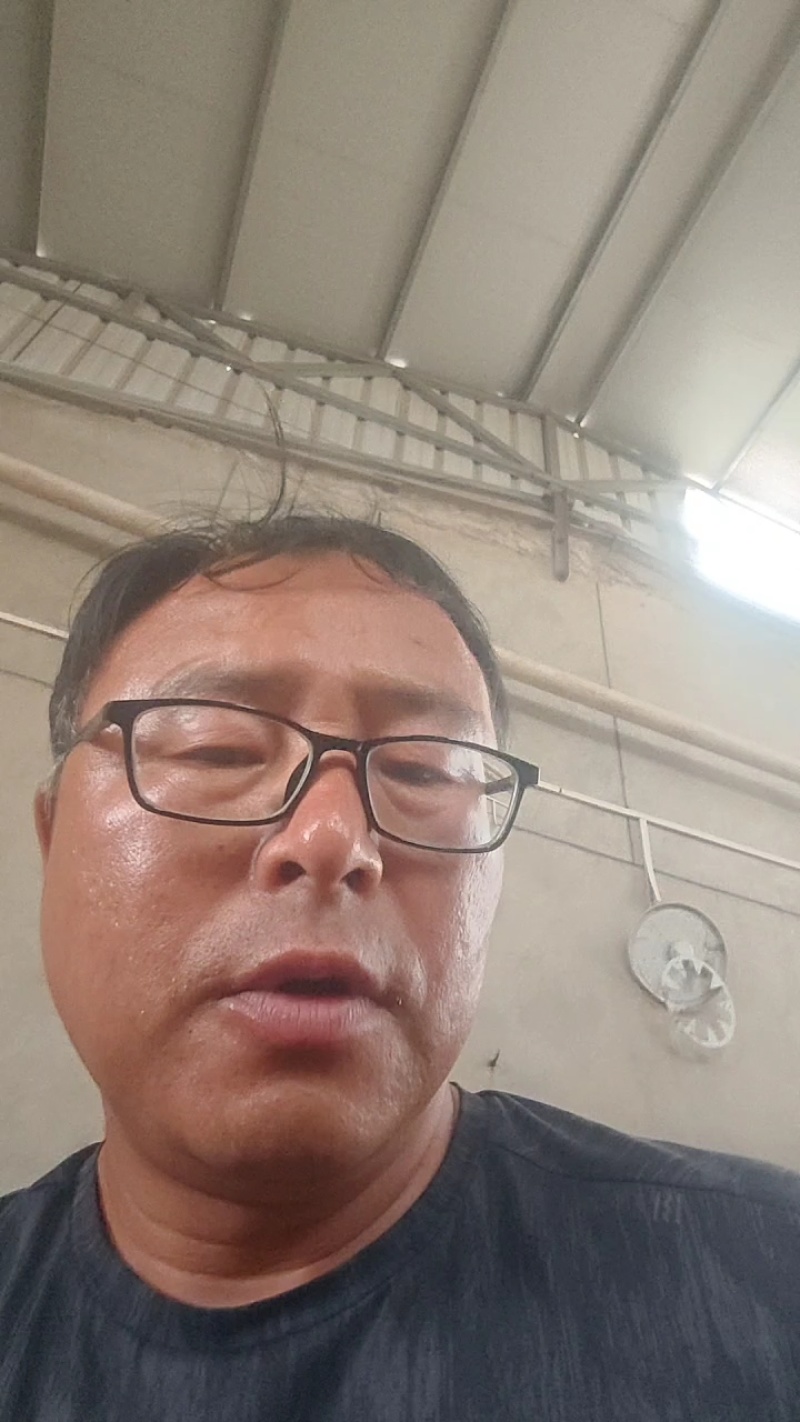 陕西板栗南瓜皮薄、绵、甜、香浓、粉粉糯糯正宗板栗味！