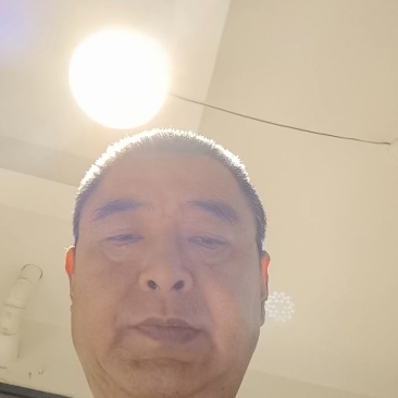 葛根柴葛根