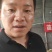 开封市脱毒红薯苗千亩育苗基地，哈密，商薯19，西瓜红等！