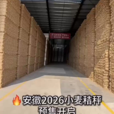 安徽小麦秸秆预售，联系电话***********