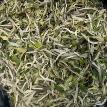 老树牡丹新茶优质茶品品味好茶支持一件代发