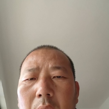 邯郸西芹，产地直发，大量有货，欢迎全国各地老板前来订购