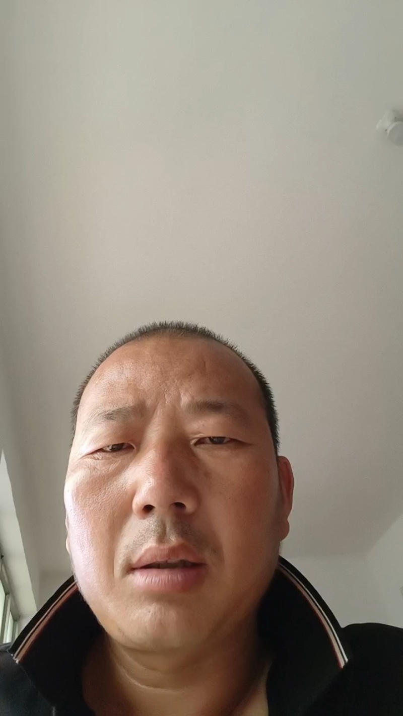 邯郸西芹，产地直发，大量有货，欢迎全国各地老板前来订购