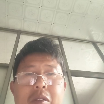 法师多肉基地直销欧版紫羊绒基地批发，可混批。