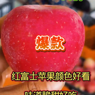 【老板力荐】红富士苹果大量有货价格合理电话联系