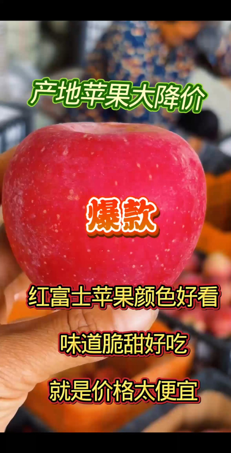 【老板力荐】红富士苹果大量有货价格合理电话联系