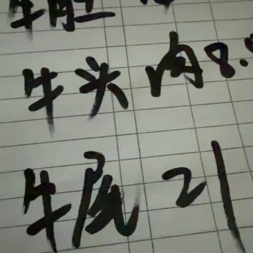 牛百叶重庆牛毛肚火锅专用无泡水纯干地板去油
