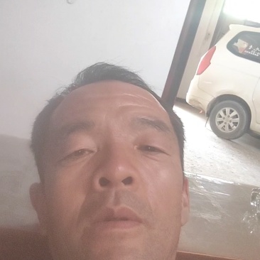 中捡梨/高次梨/套网高次二级梨/口感甜/个头大…