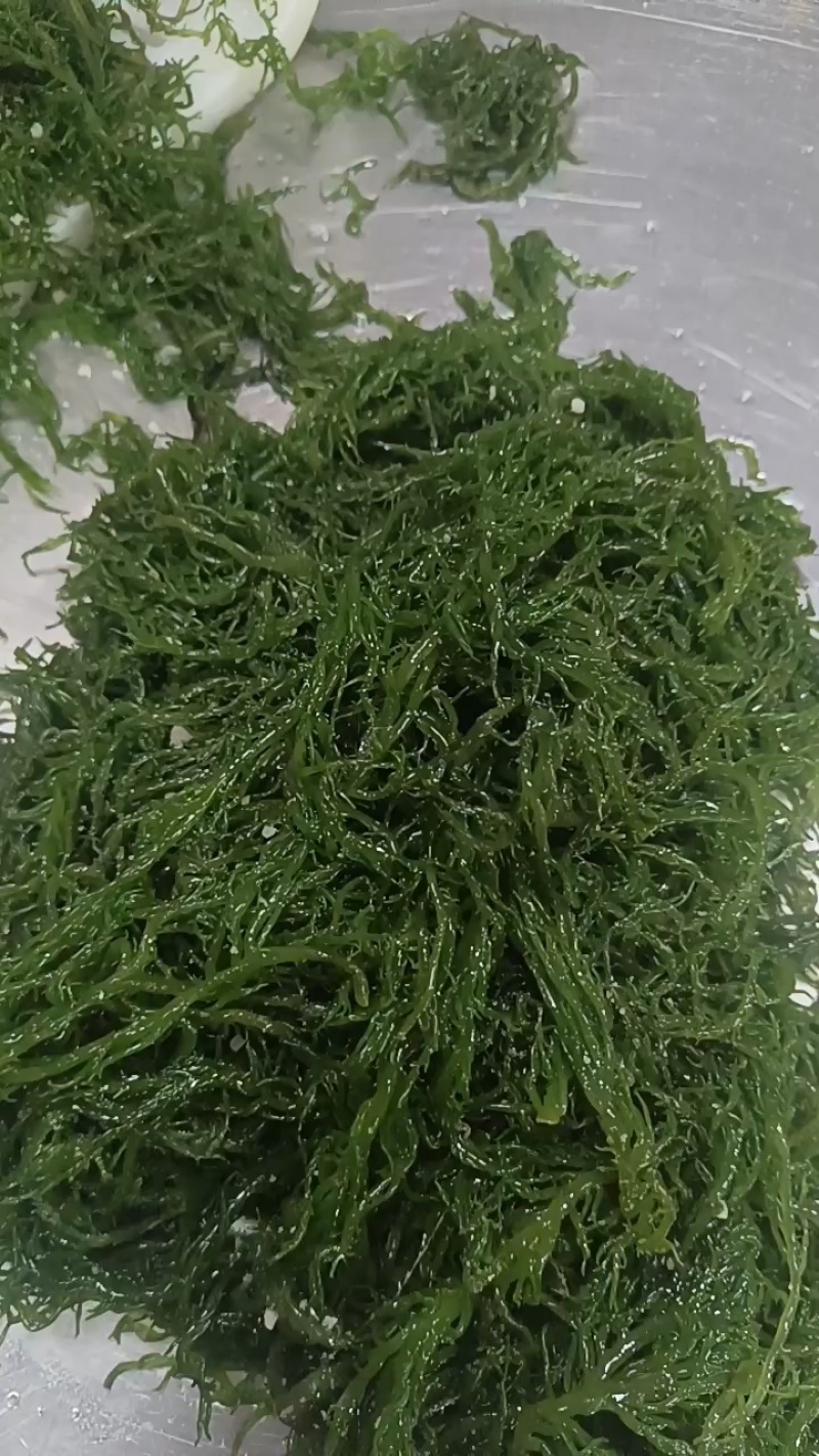 【推荐】福建精品龙须菜供应市场商超电商品质保证量大从优