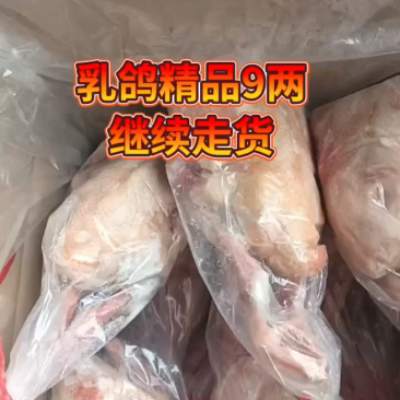 冠味乳鸽9两以上，大量现货常年供应。