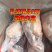 冠味乳鸽9两以上，大量现货常年供应。