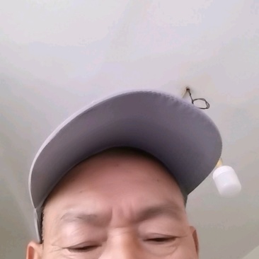 《精品草鱼苗》抗病毒规格齐全欢迎老板咨询云贵川专送