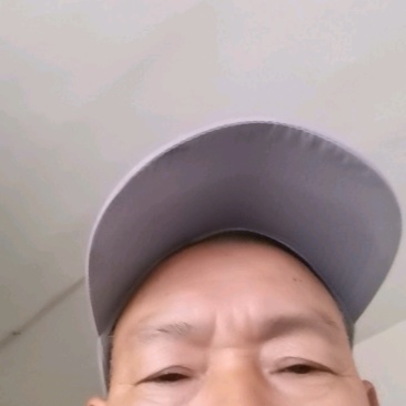 《养殖水库》精品鲤鱼苗，好养殖，可大量供货，提枝术交流！