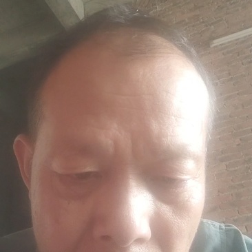 正宗牛大力24小时在线订购长期供货品质有保障