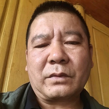 云南腾冲荷花土豆，红皮黄心青暑9号