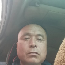 山东惠民大棚优质菠菜继续发货中！保质保量，全国供货