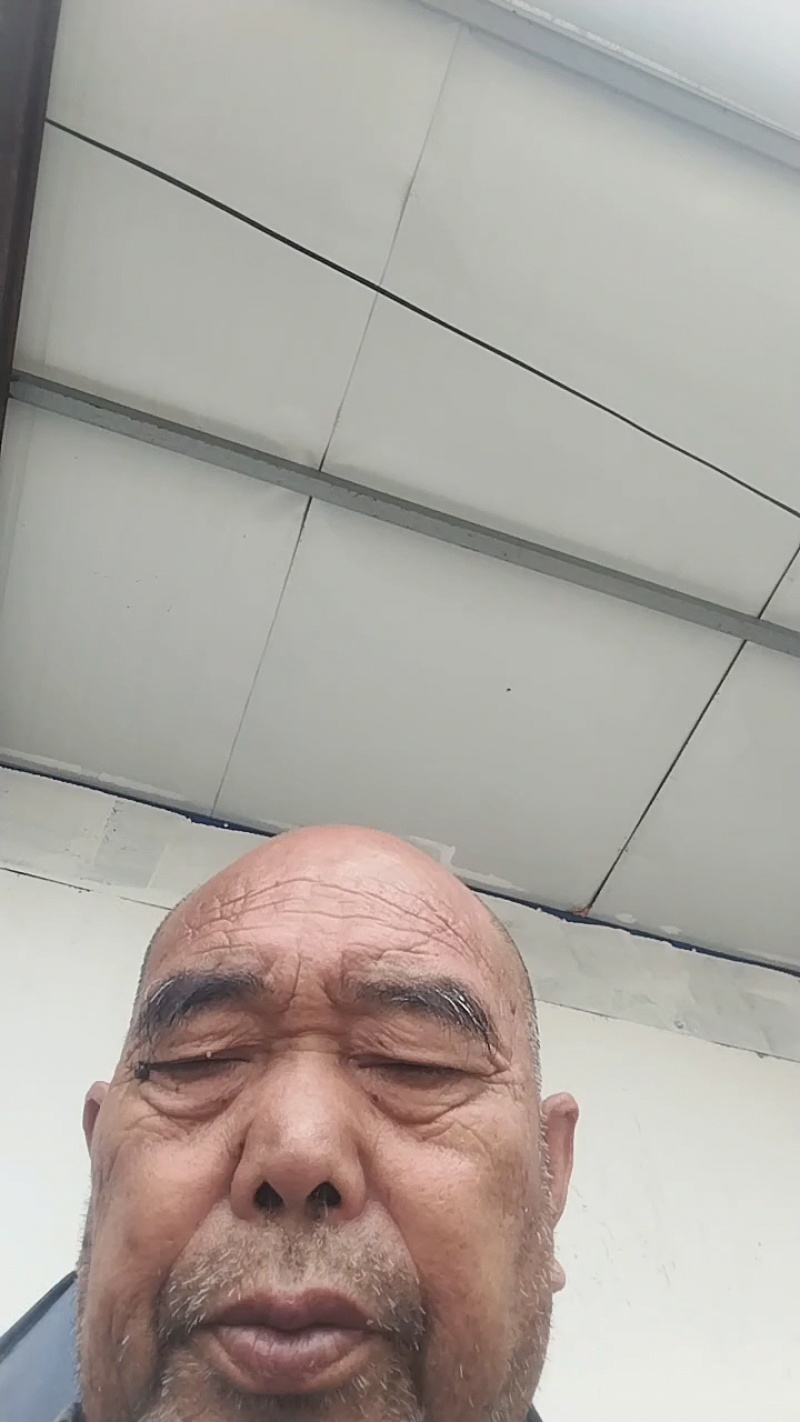 新鲜薄荷尖现摘现发自己薄荷基地一手货源可视频看货