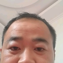 机洗鱿鱼头17斤310/件，运费自理
