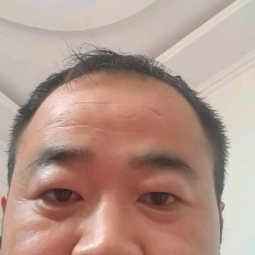 机洗鱿鱼头17斤310/件，运费自理