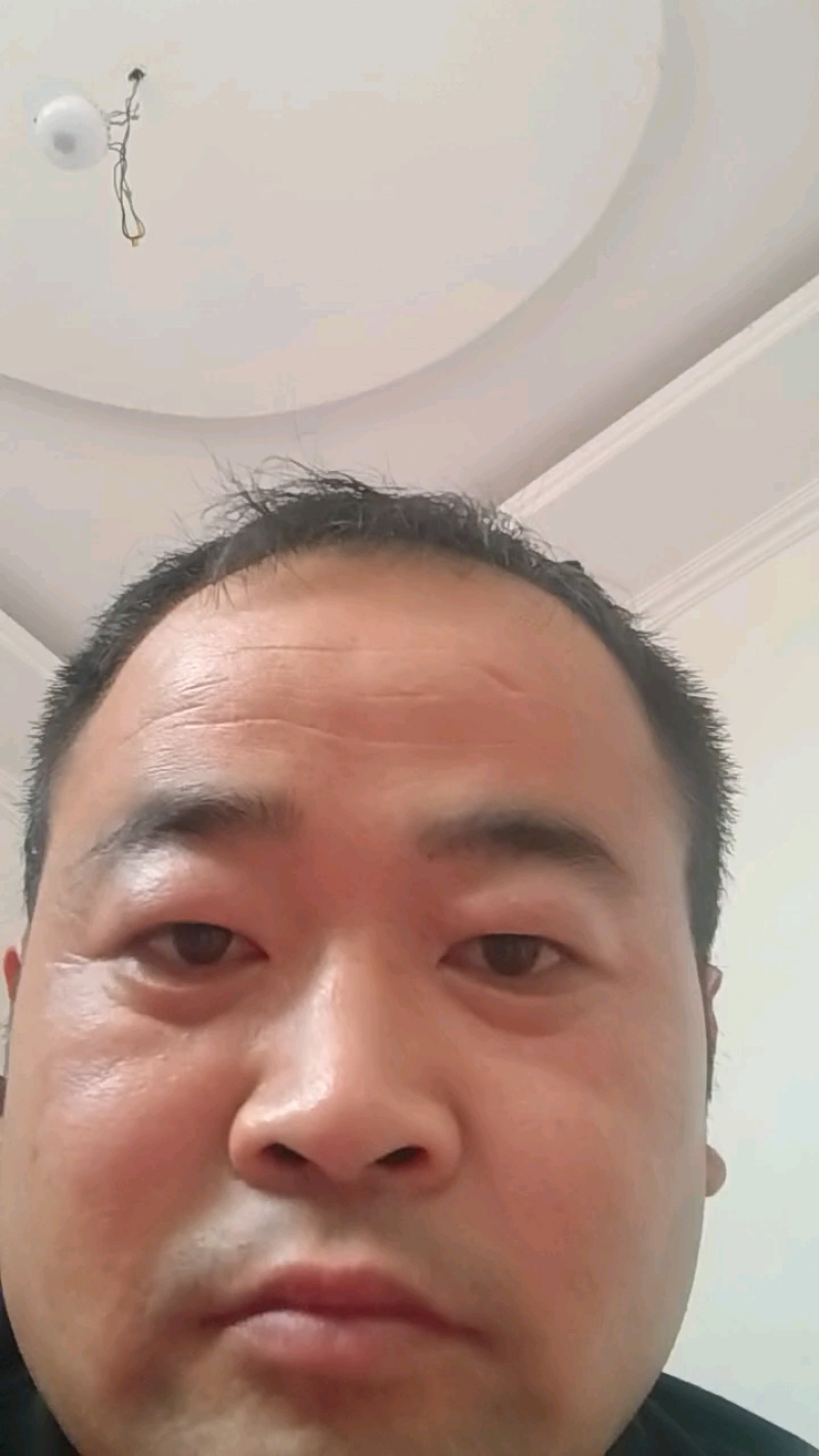 机洗鱿鱼头17斤310/件，运费自理