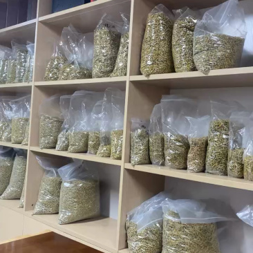 安徽霍山铁皮石斛枫斗老品种大量供应，x规格齐全