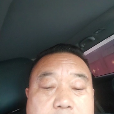 美都西瓜无籽美都麒麟西瓜货源稳定代收代发全国
