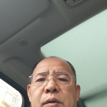 草莓柿子口感番茄大量现货绿腚柿子鹰爪西红柿基地直供